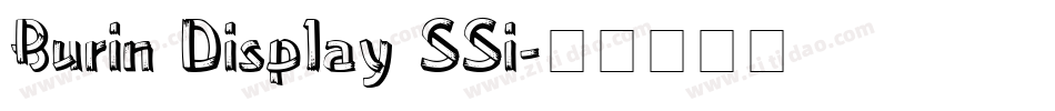 Burin Display SSi字体转换